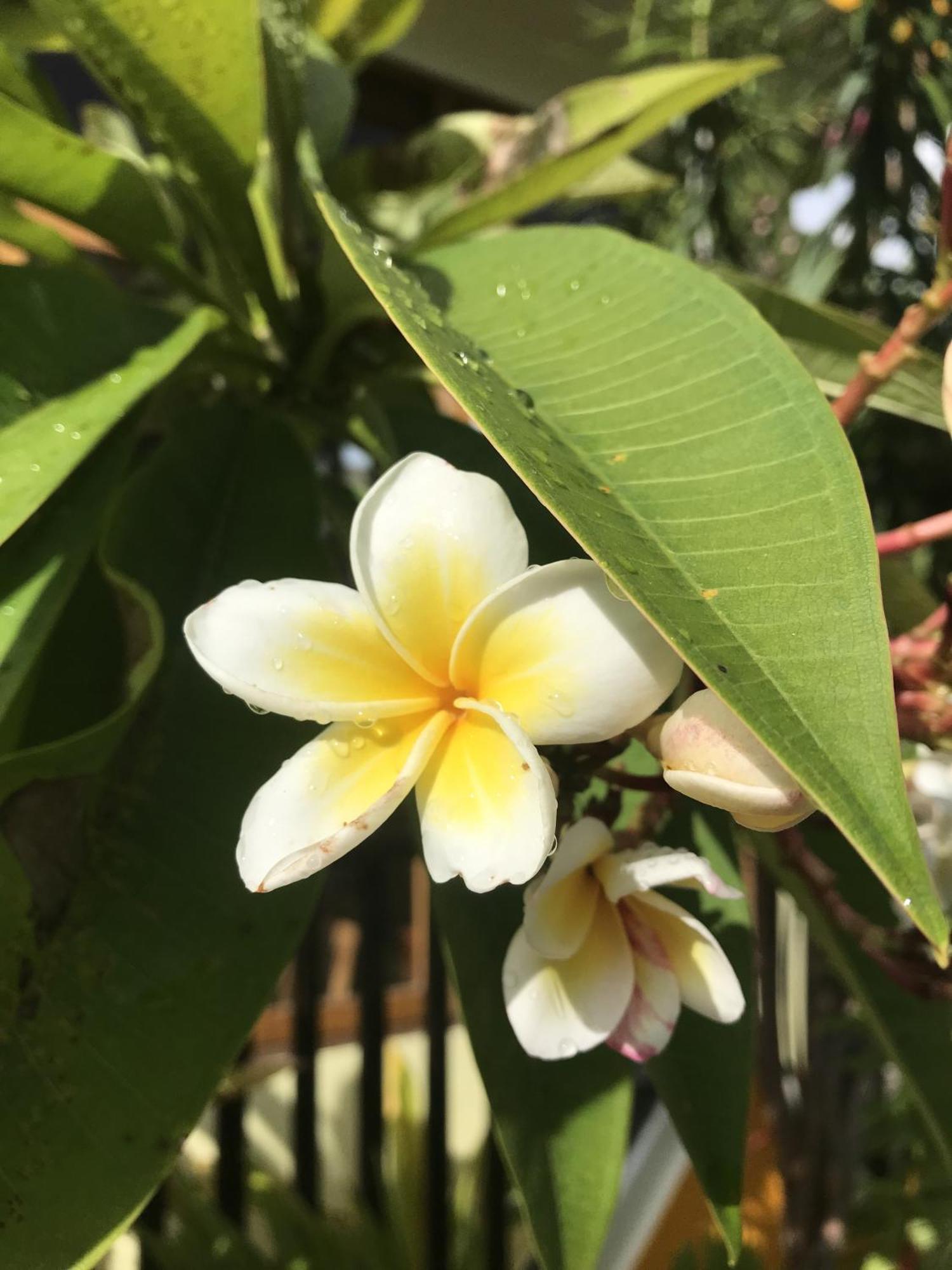 Kamadhoo Inn מראה חיצוני תמונה