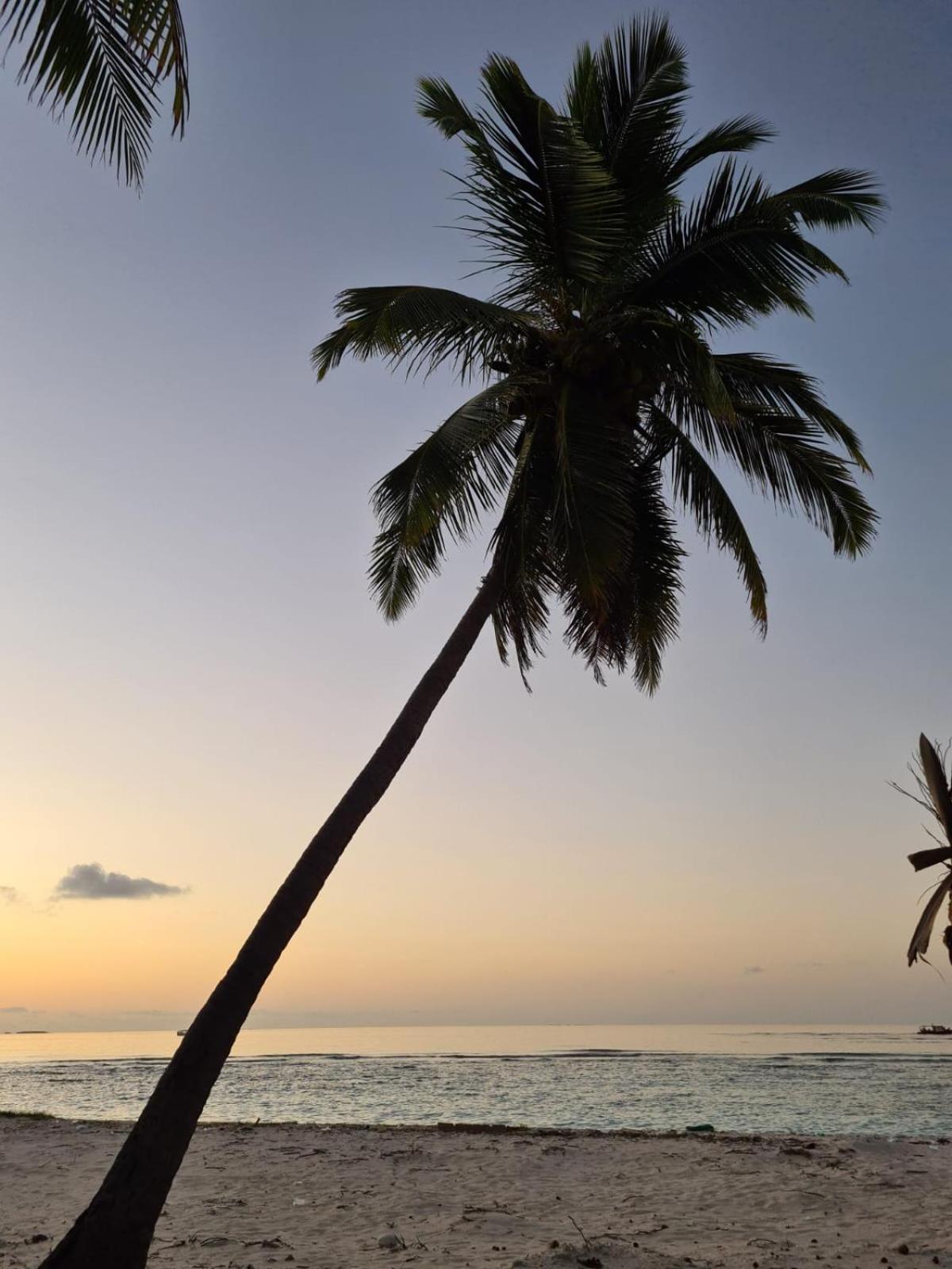 Kamadhoo Inn מראה חיצוני תמונה